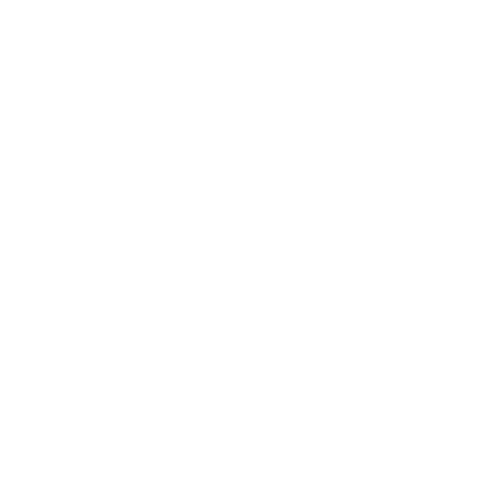 CROSSED SWORDS LOGO